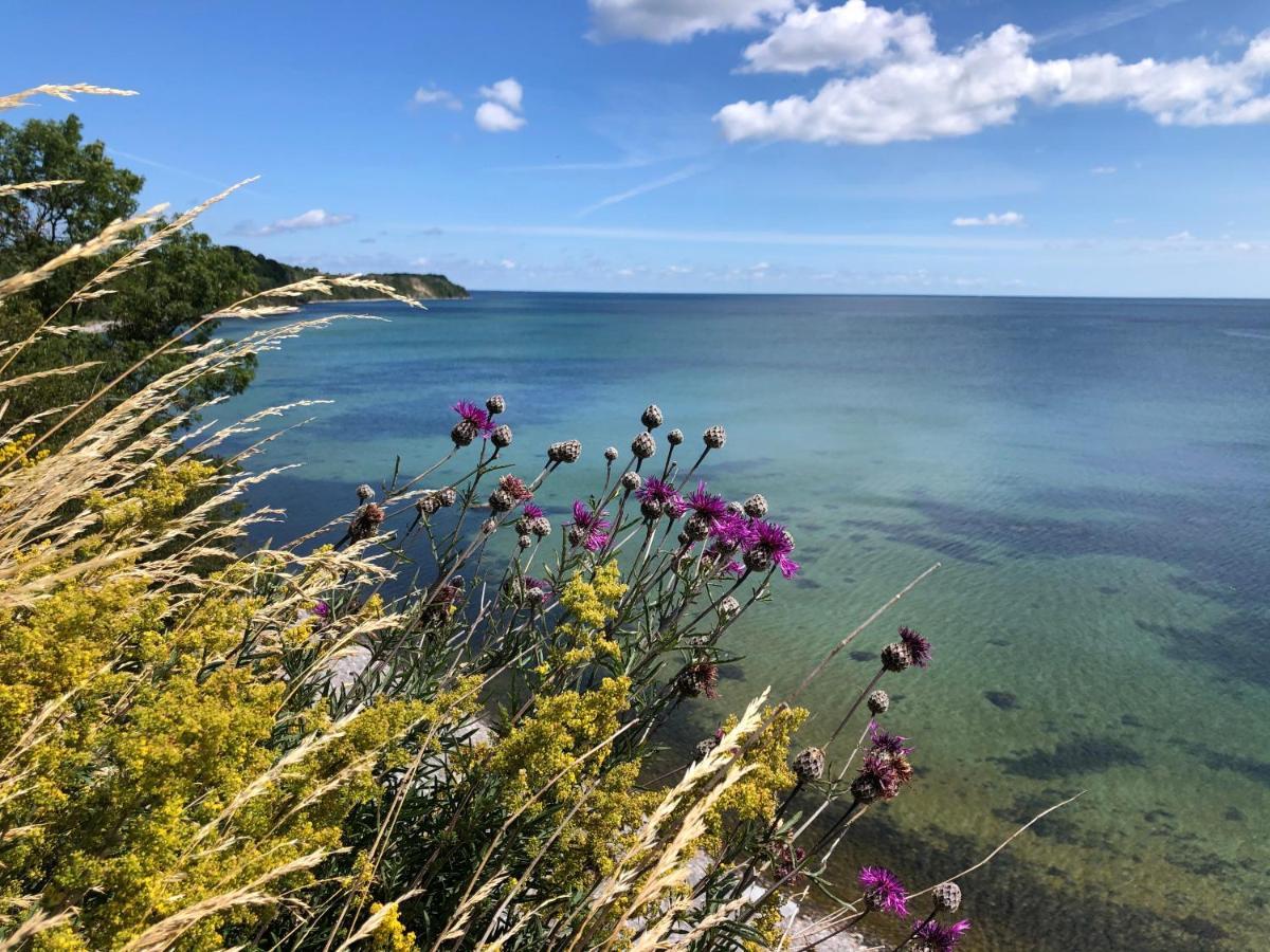 Strandapartment Meeresrauschen Prora Binz Eg Exteriör bild