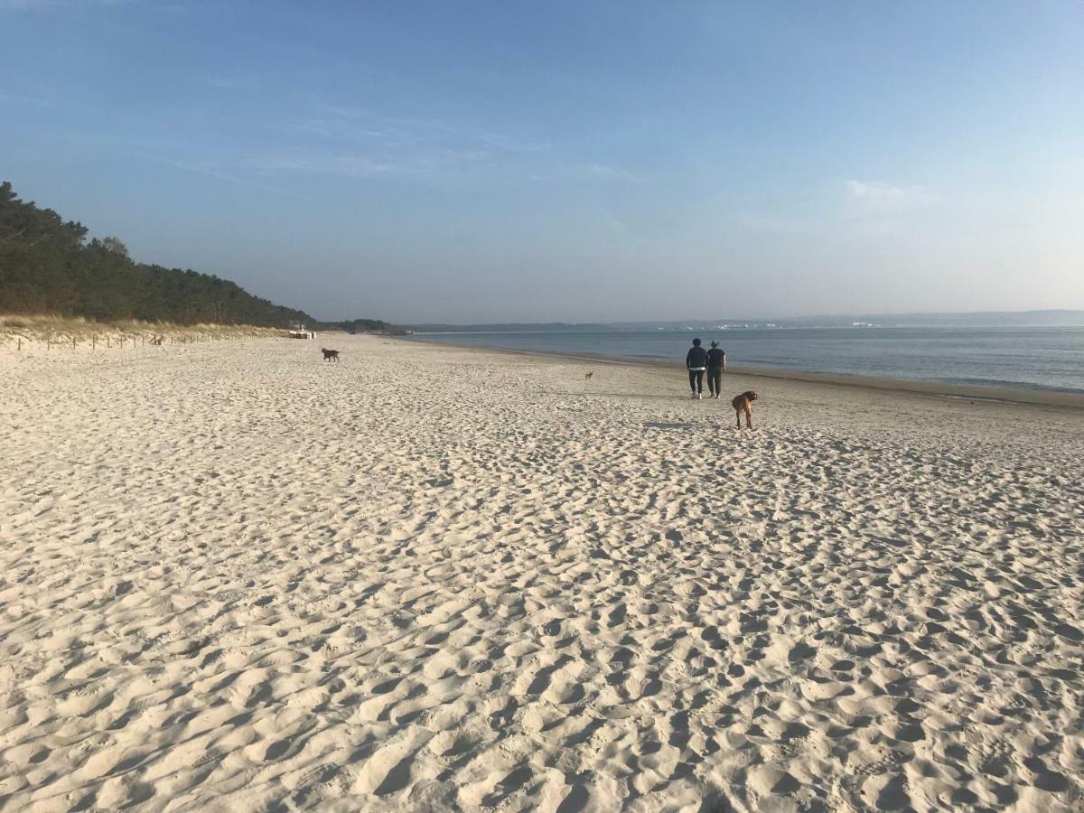 Strandapartment Meeresrauschen Prora Binz Eg Exteriör bild
